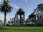 Downtown Sydney (210kb)